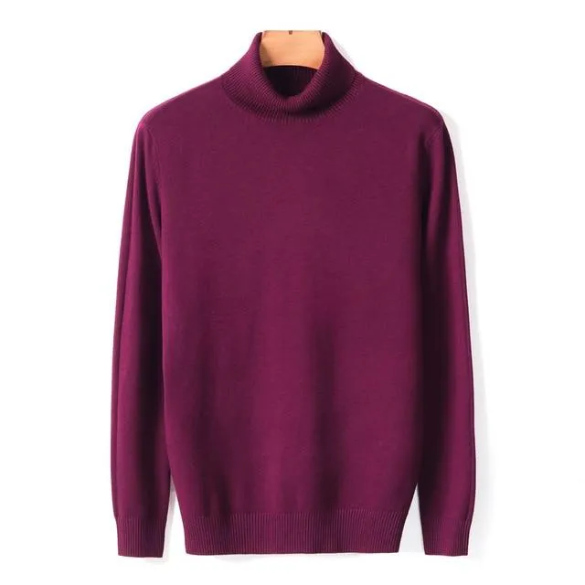 Men's Warm Turtleneck Sweater