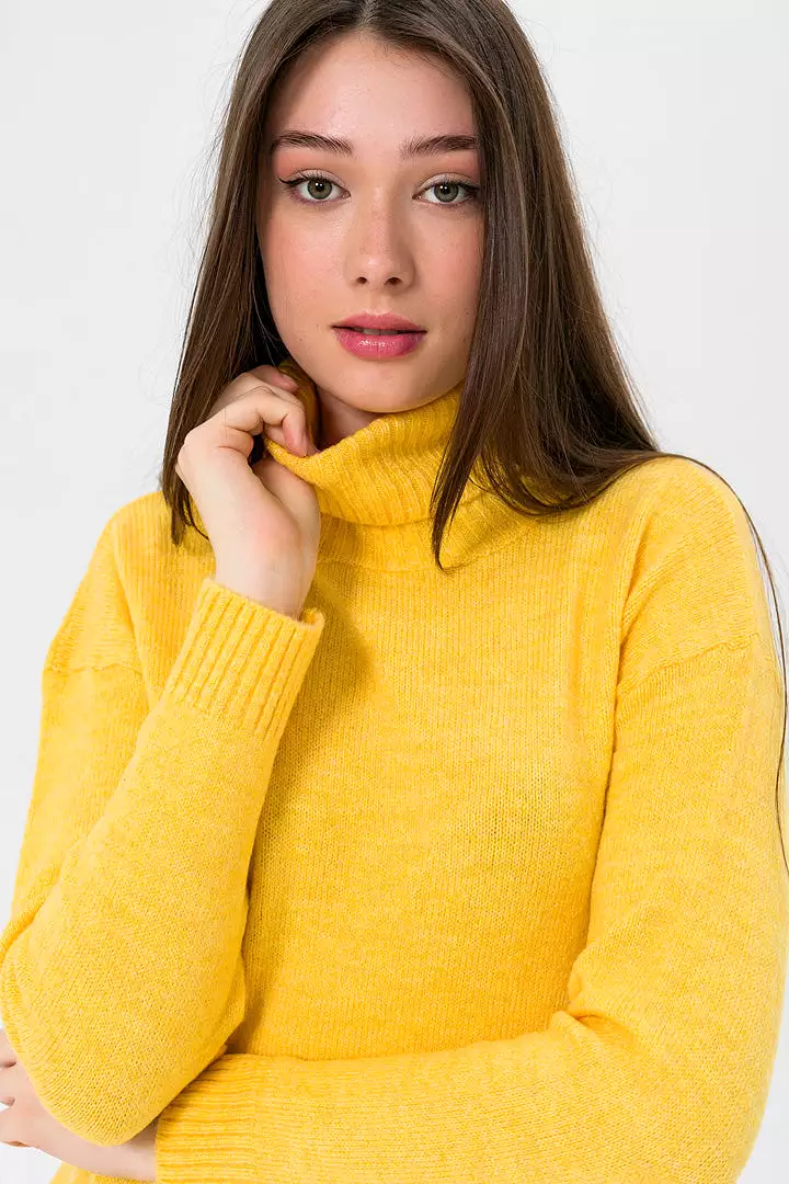 TURTLE NECK SWEATER