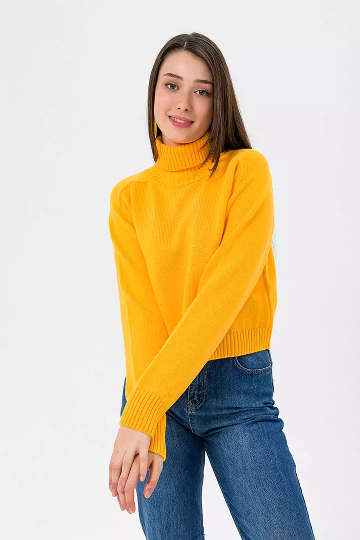 TURTLE NECK SWEATER